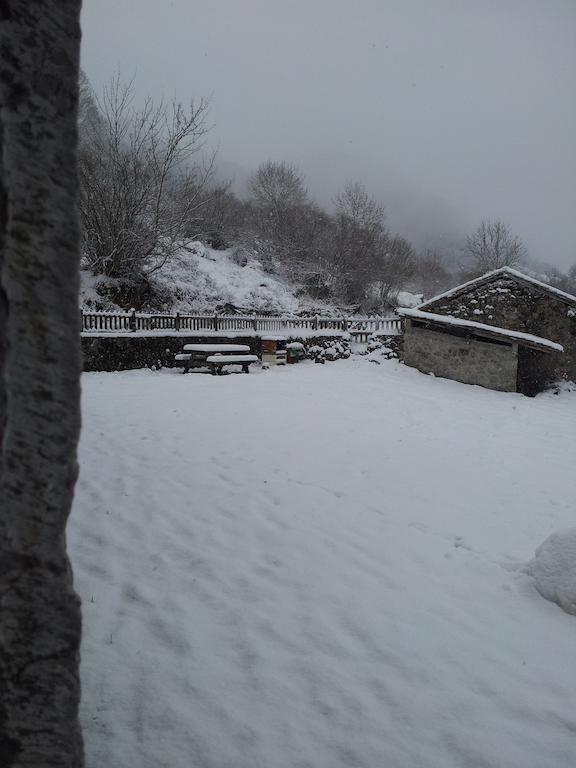 Venta La Aurora Villa Beleño Kamer foto
